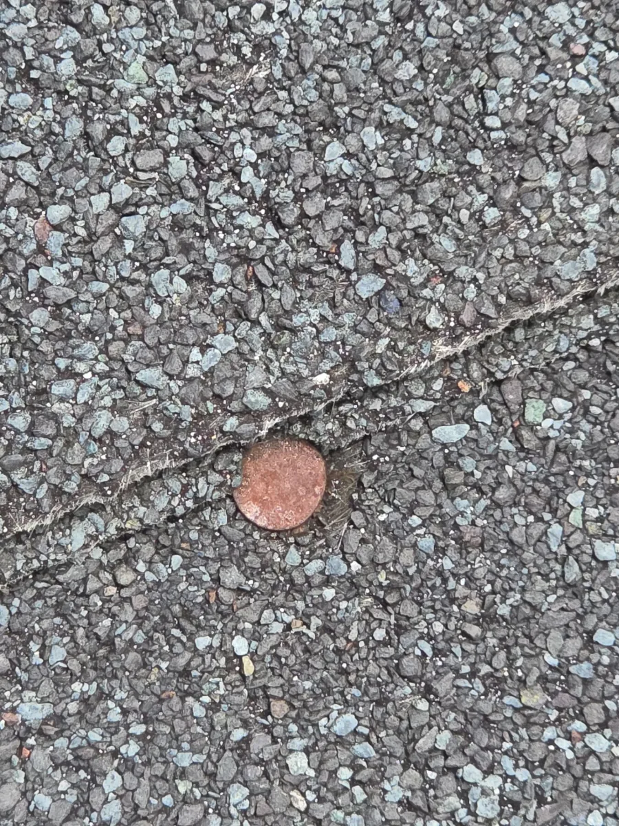 Exposed nail head on an asphalt shingle roof in Hamilton, VA