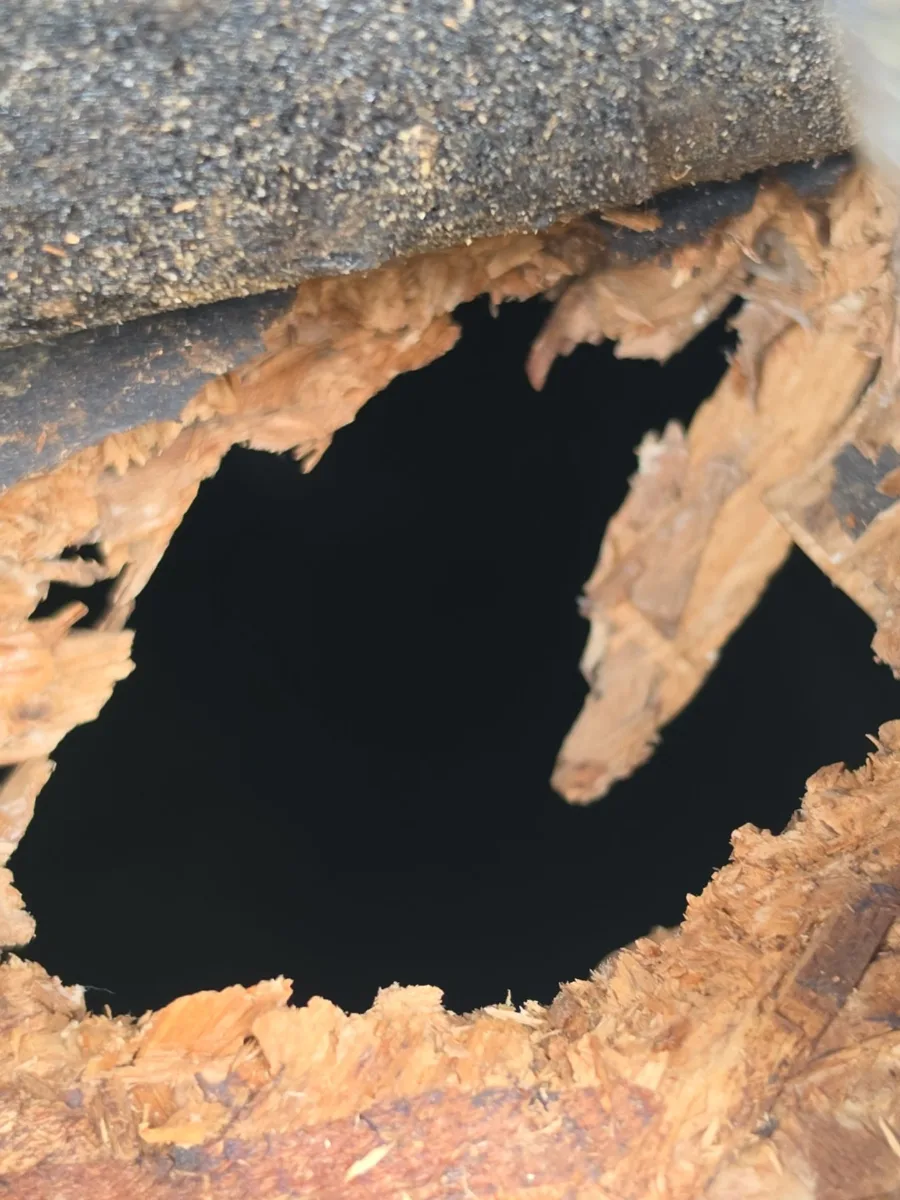 Hole through rotted plywood roof decking in Hamilton, VA