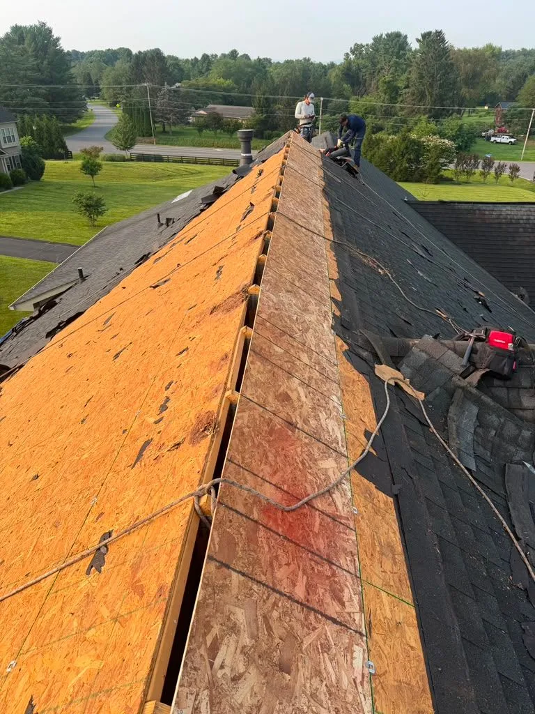New plywood roof decking installed in Hamilton, VA