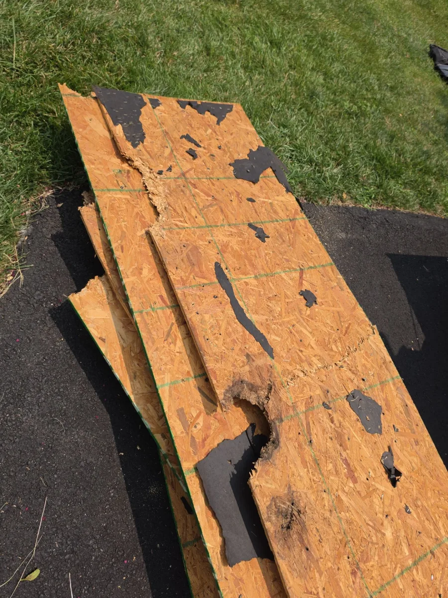 Rotted plywood sheets removed from a roof in Hamilton, VA