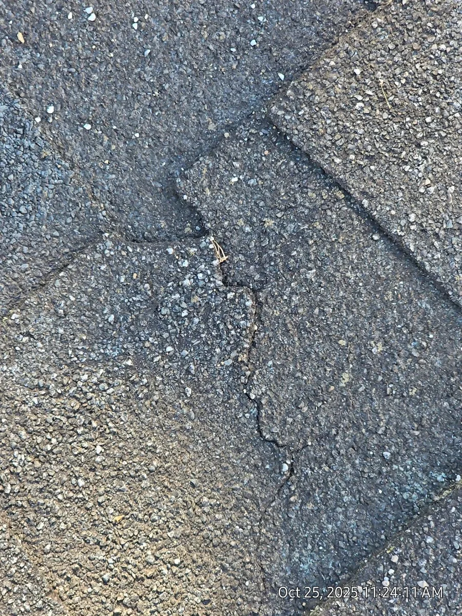 Cracked asphalt shingle on the old Leesburg, VA roof