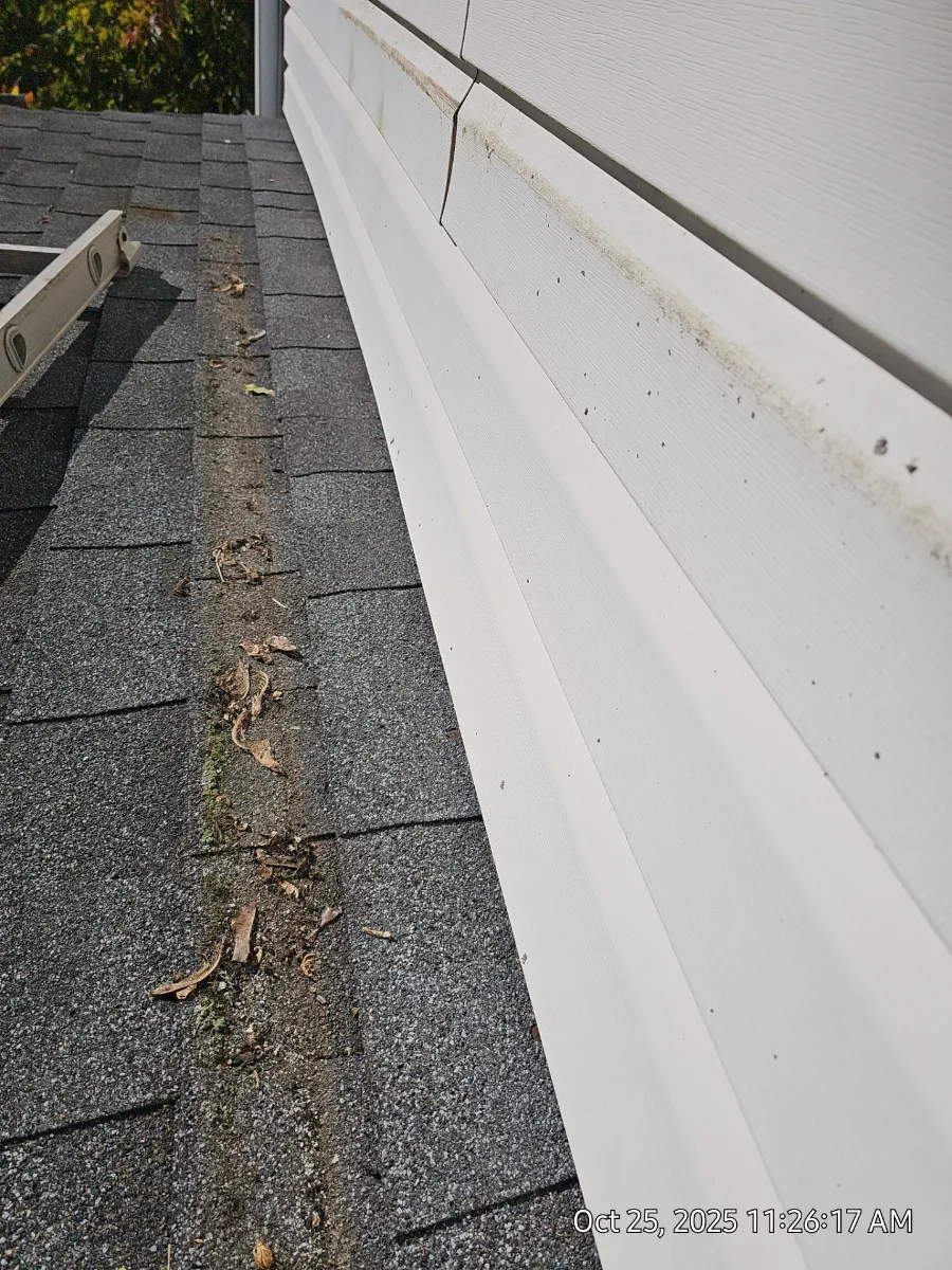 Old gutter full of debris along the roof edge in Leesburg, VA