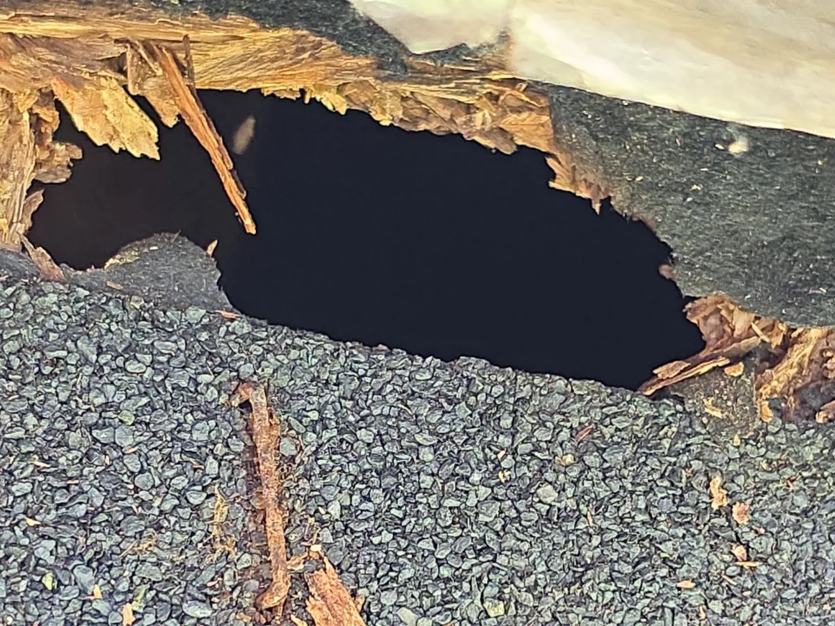 Damaged roof shingles with exposed wood before replacement in Leesburg, VA