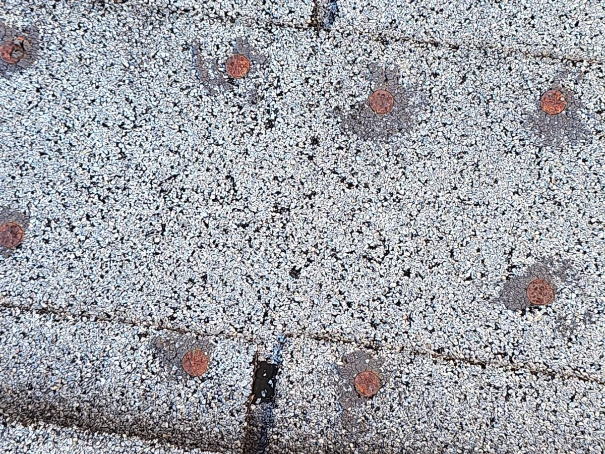 Hail impact marks circled on an old shingle roof in Purcellville, VA before replacement