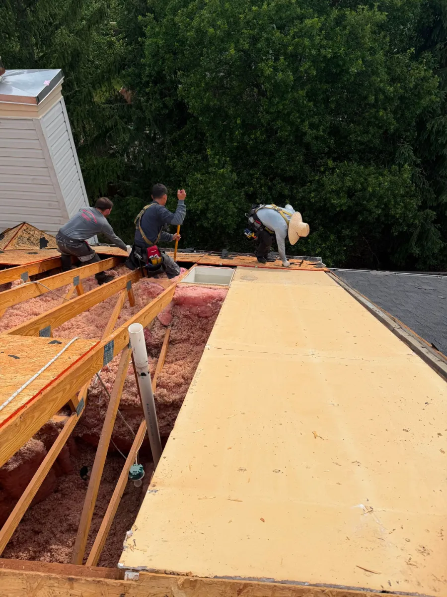 New roof decking being installed on a Sterling, VA townhouse